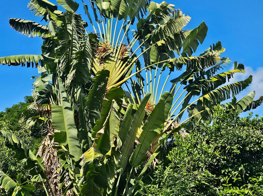 蜻蜓农场-疗伤艺术中心主图