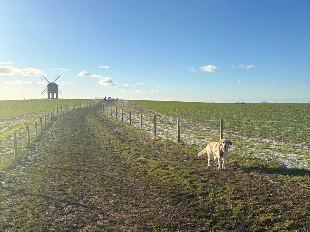 Chesterton Windmill-皇家利明顿温泉必去景点