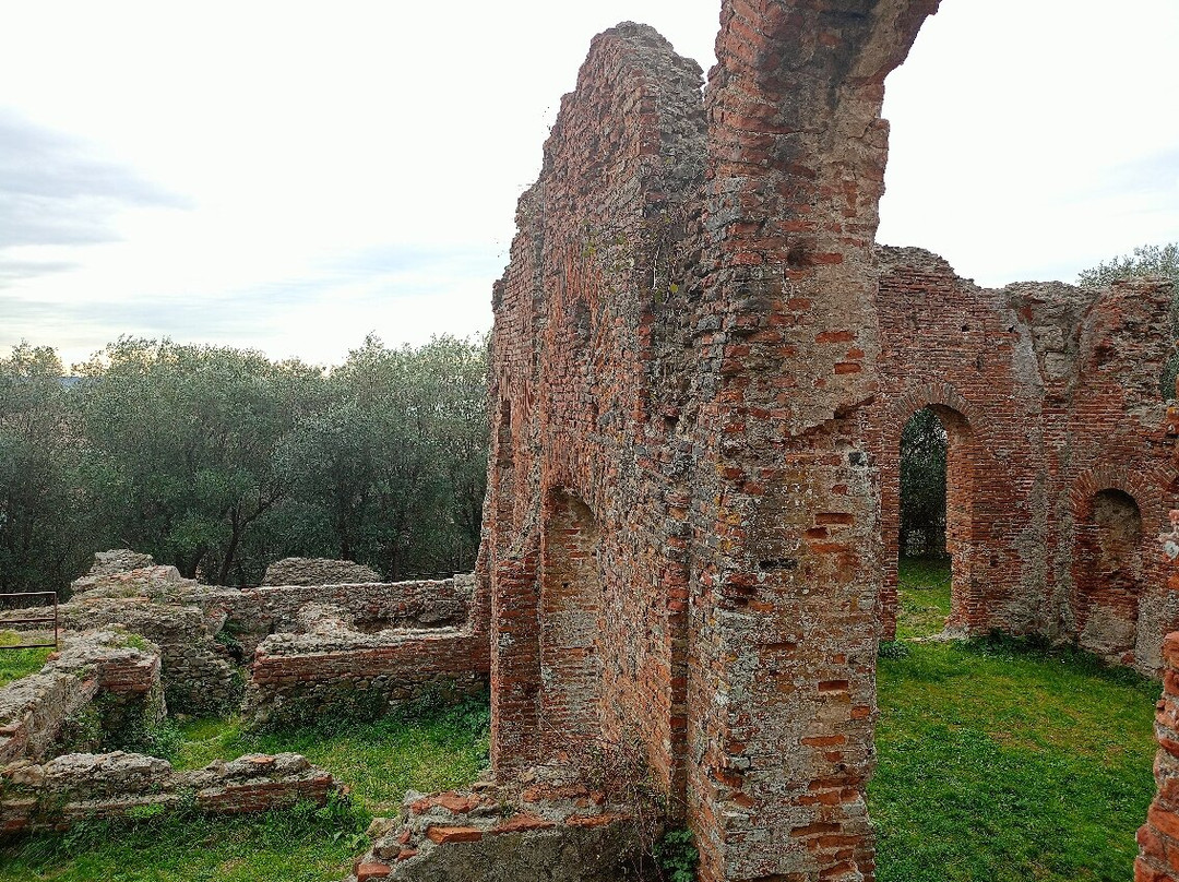 Area Archeologica Massaciuccoli Romana-Massaciuccoli必去景点