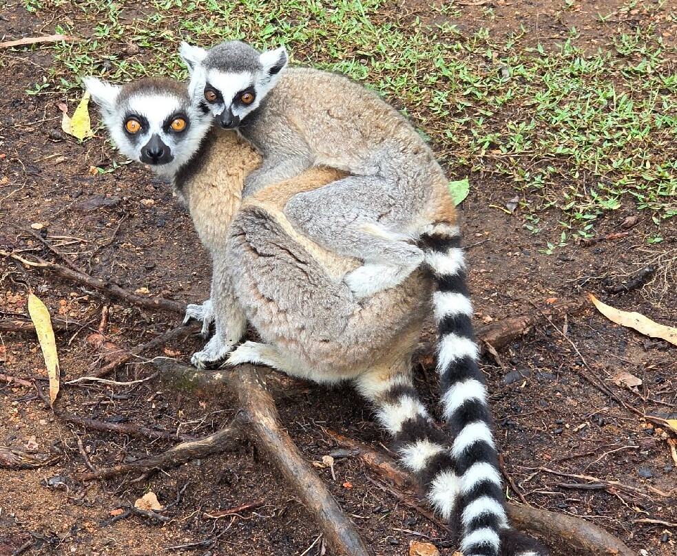 Soul of Madagascar Tours-Toamasina (Tamatave)必去景点