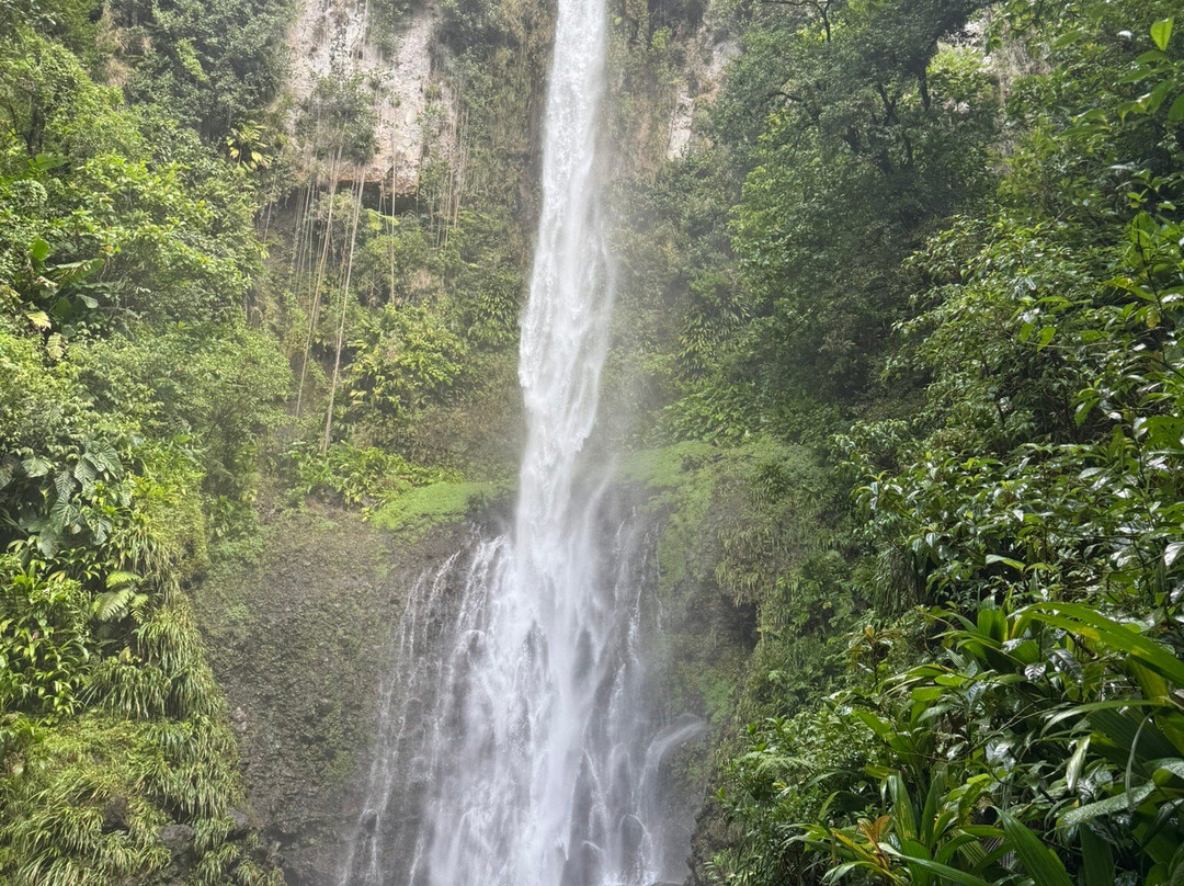 Just Go Dominica-多米尼克必去景点