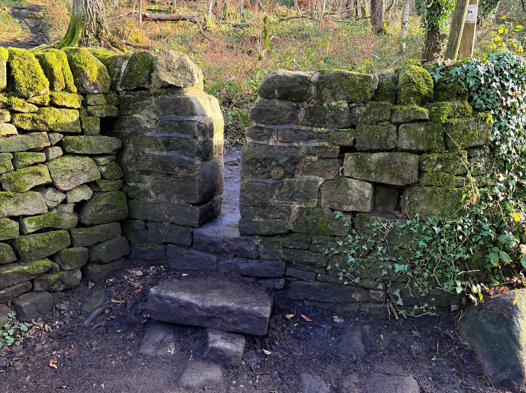 Padley Gorge-希望谷必去景点