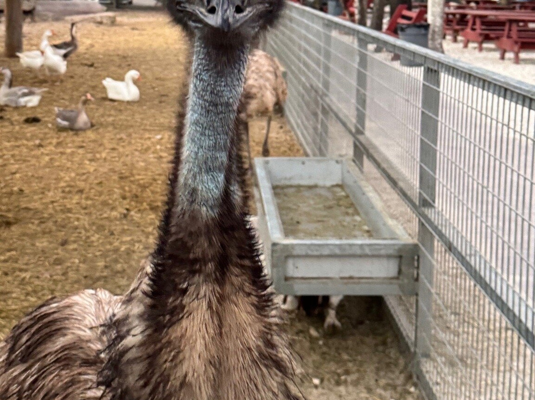 Robert Is Here-霍姆斯特德必去景点