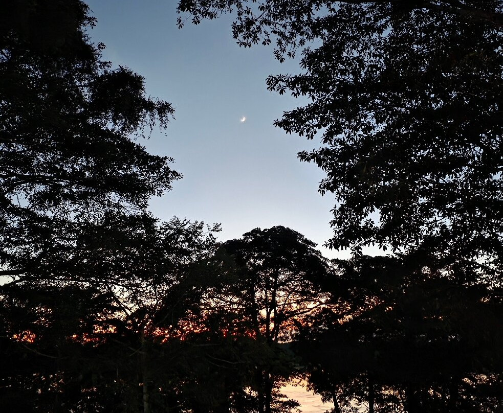 Amazon Tour-莱蒂西亚必去景点