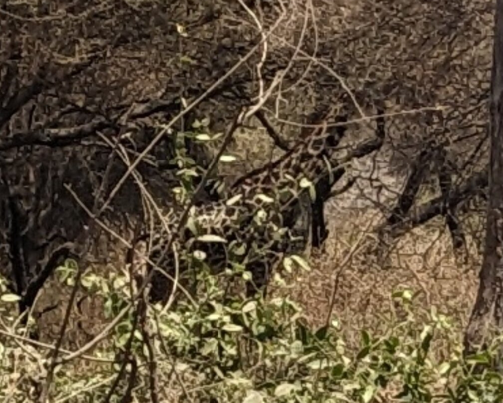 Climbing Kilimanjaro-Machame必去景点