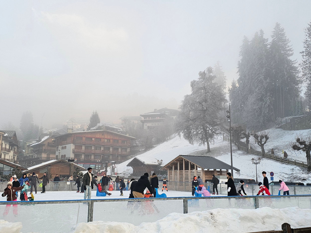 Mont d'Arbois Ski Area-梅杰夫必去景点
