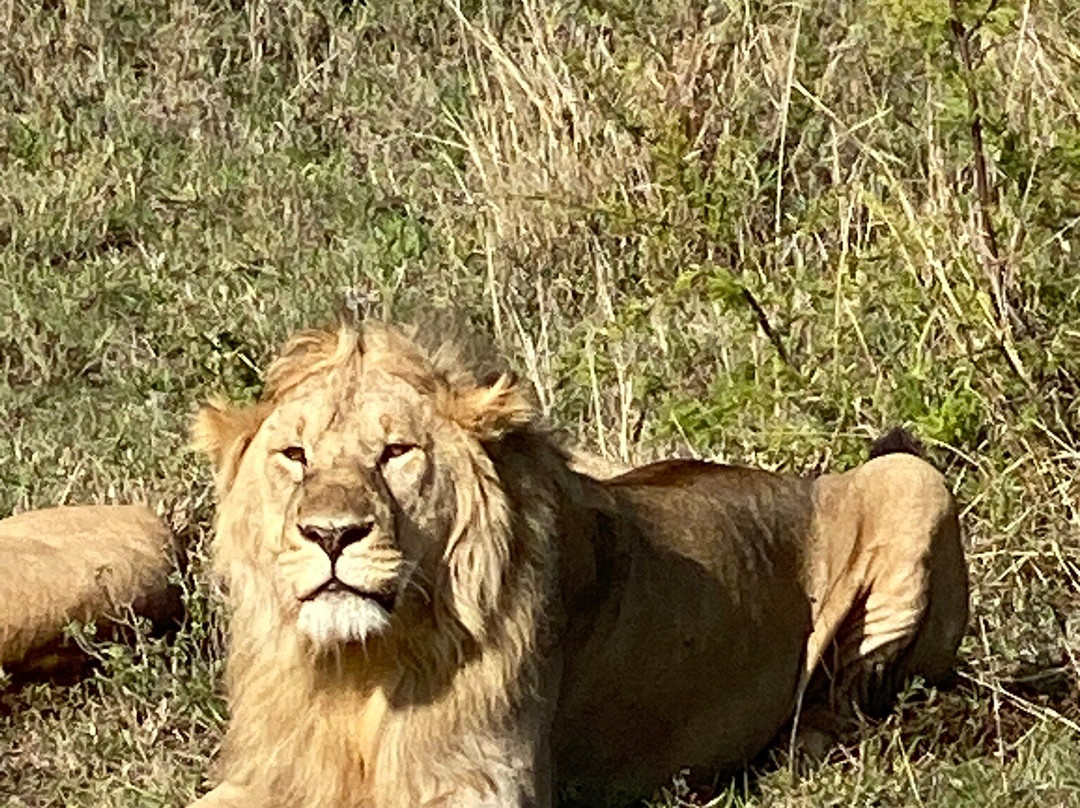 Tansania Reiseabenteuer SDL GmbH-柏林必去景点