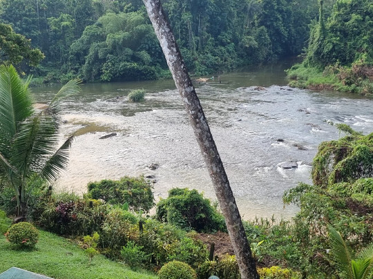 Kithulgala Rest House主图