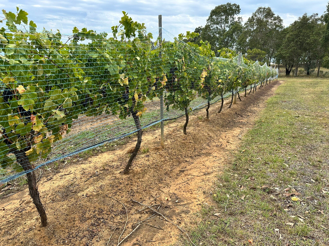 Ernest Hill Wines-Nulkaba必去景点