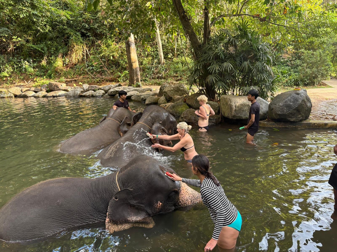 Phang Nga Elephant Park-攀牙必去景点
