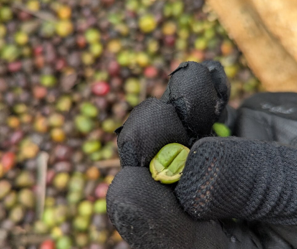 Mui Ne Easy Rider-美奈必去景点