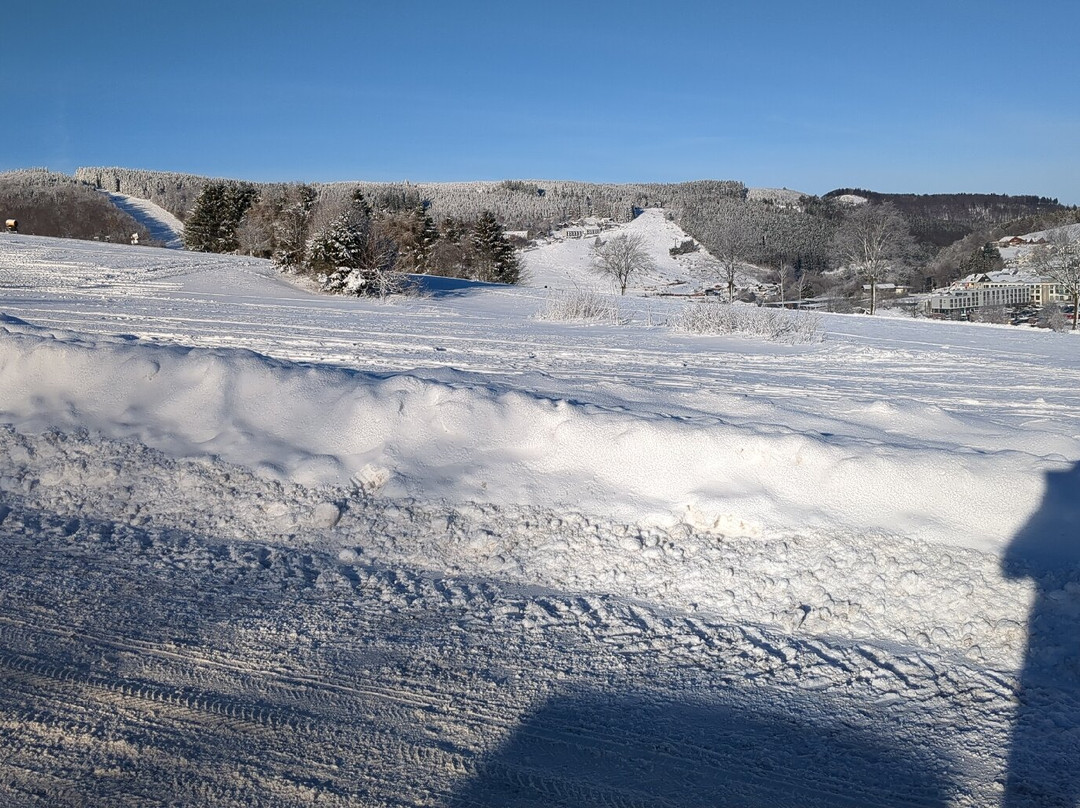 Ski Resort Willingen-Willingen必去景点
