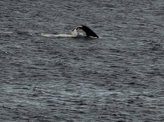 Aloha Sunshine Tours-火奴鲁鲁必去景点