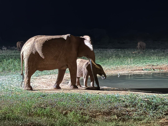 Mimmo Shaibu Kenya Safari-瓦塔木必去景点