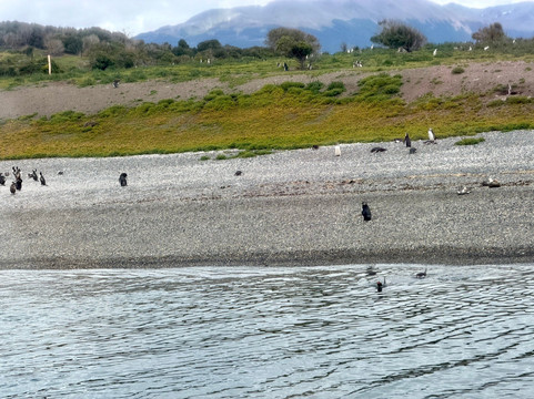Rumbo Sur-乌斯怀亚必去景点