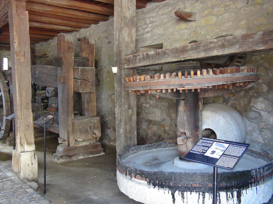 Musée d'Estavayer-le-Lac et ses Grenouilles-Estavayer-le-Lac必去景点