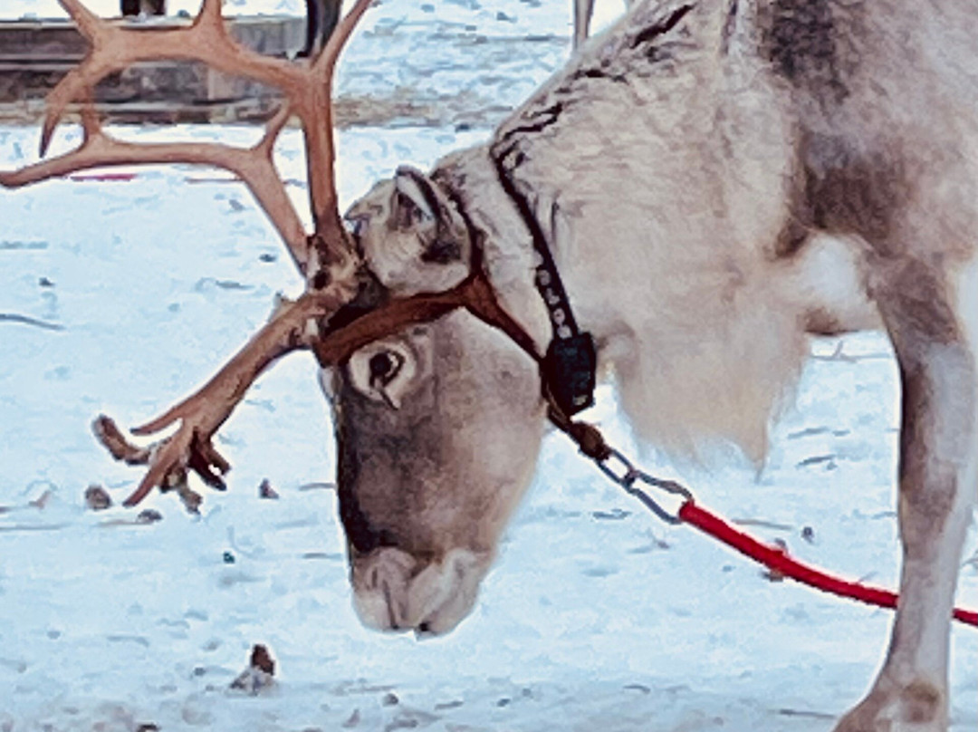Lapland Travel-Akaslompolo必去景点
