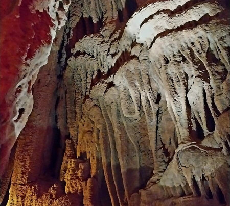 Coral Caverns-Manns Choice必去景点