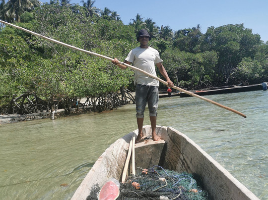 Pemba Tours-奔巴岛必去景点