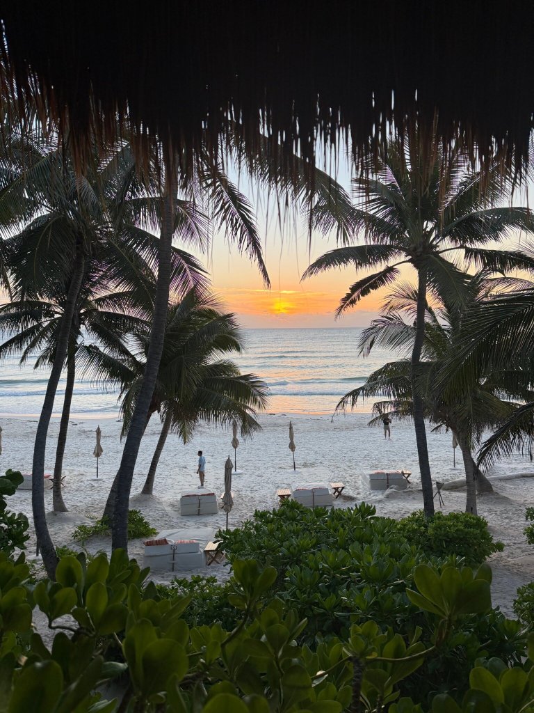 图卢姆海滩度假村-官方