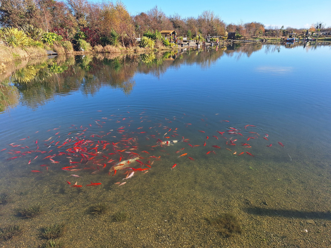 Pond Beach Resort