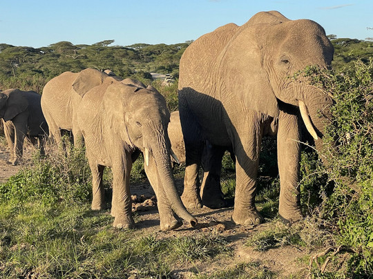 Wild Ways Adventure-阿鲁沙必去景点