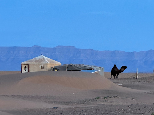 Sahara Relax-扎古拉必去景点