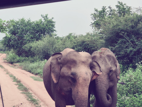 Moi Ceylon Tours-Rajagiriya必去景点