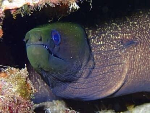 Maui Diamond Sea Sports-玛阿拉也亚必去景点