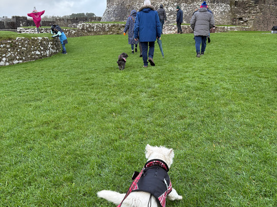 Pembroke Castle-Pembroke必去景点