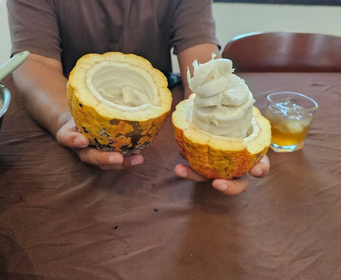 Ho Tram Tour-Ho Tram必去景点