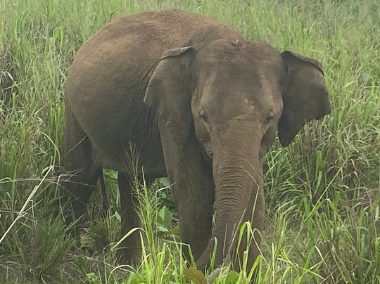 Ceylanica Adventures-Kadawata必去景点