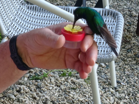 LB's Tours Tobago-多巴哥必去景点