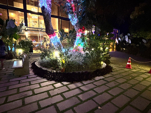 Elephant Passage Resort Munnar主图