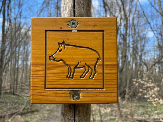 Nationalpark Hainich-Bad Langensalza必去景点