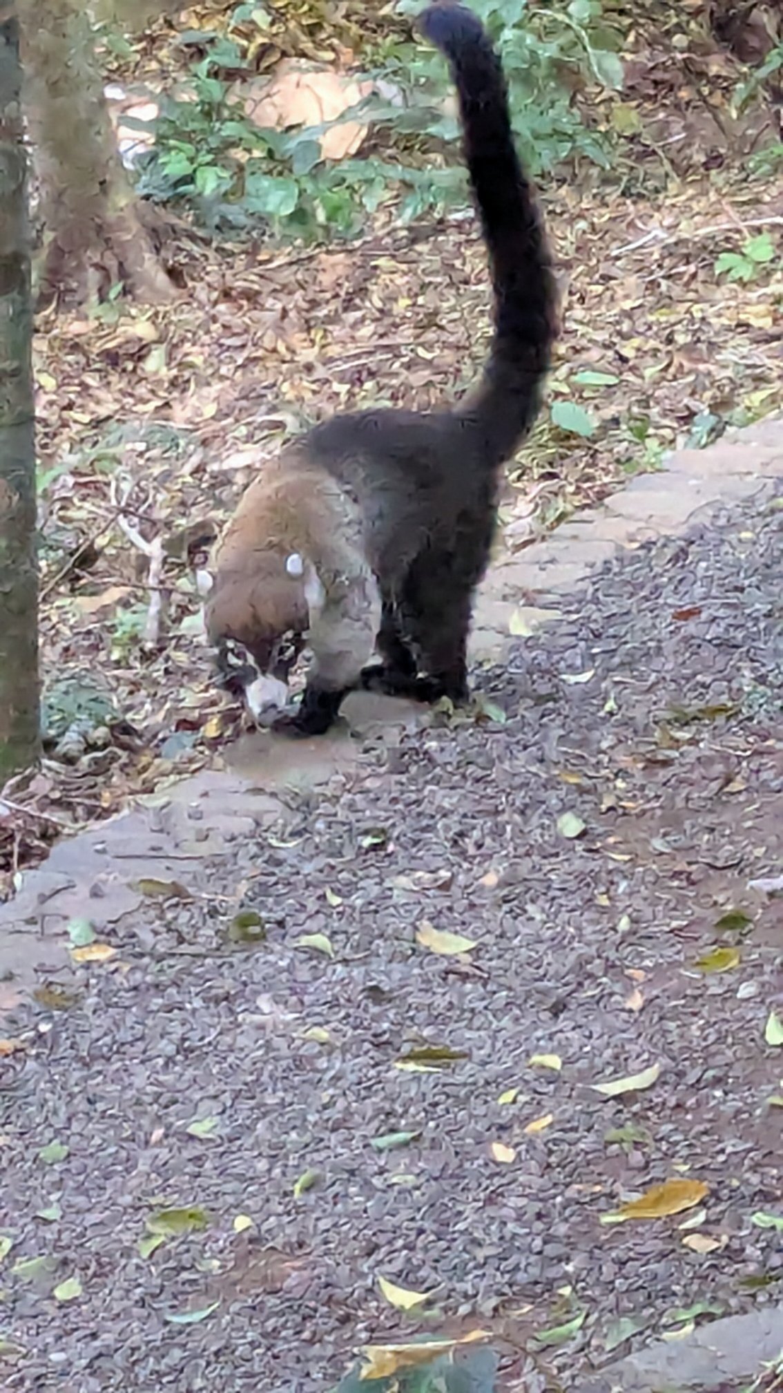Hotel & Spa Poco a Poco Costa Rica-浴室