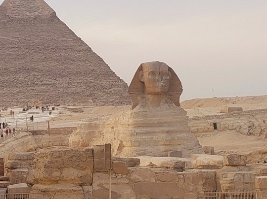 Nabq Tours for Excursions in Egypt-沙姆沙伊赫必去景点