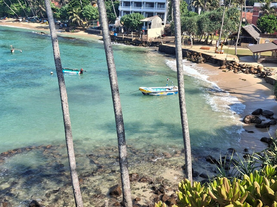 Coconut Tree Hill-美蕊沙必去景点