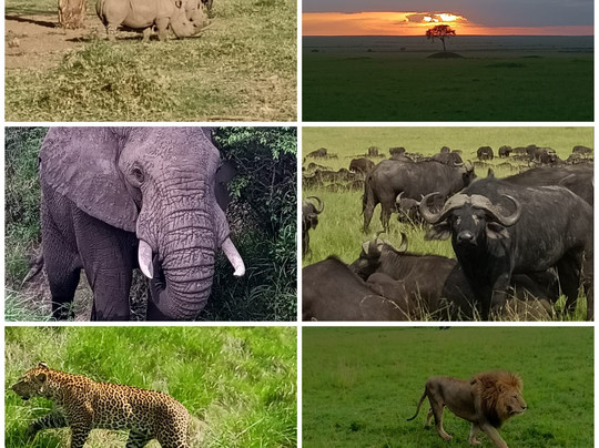 Ahotsun Safari 2000-马林地必去景点