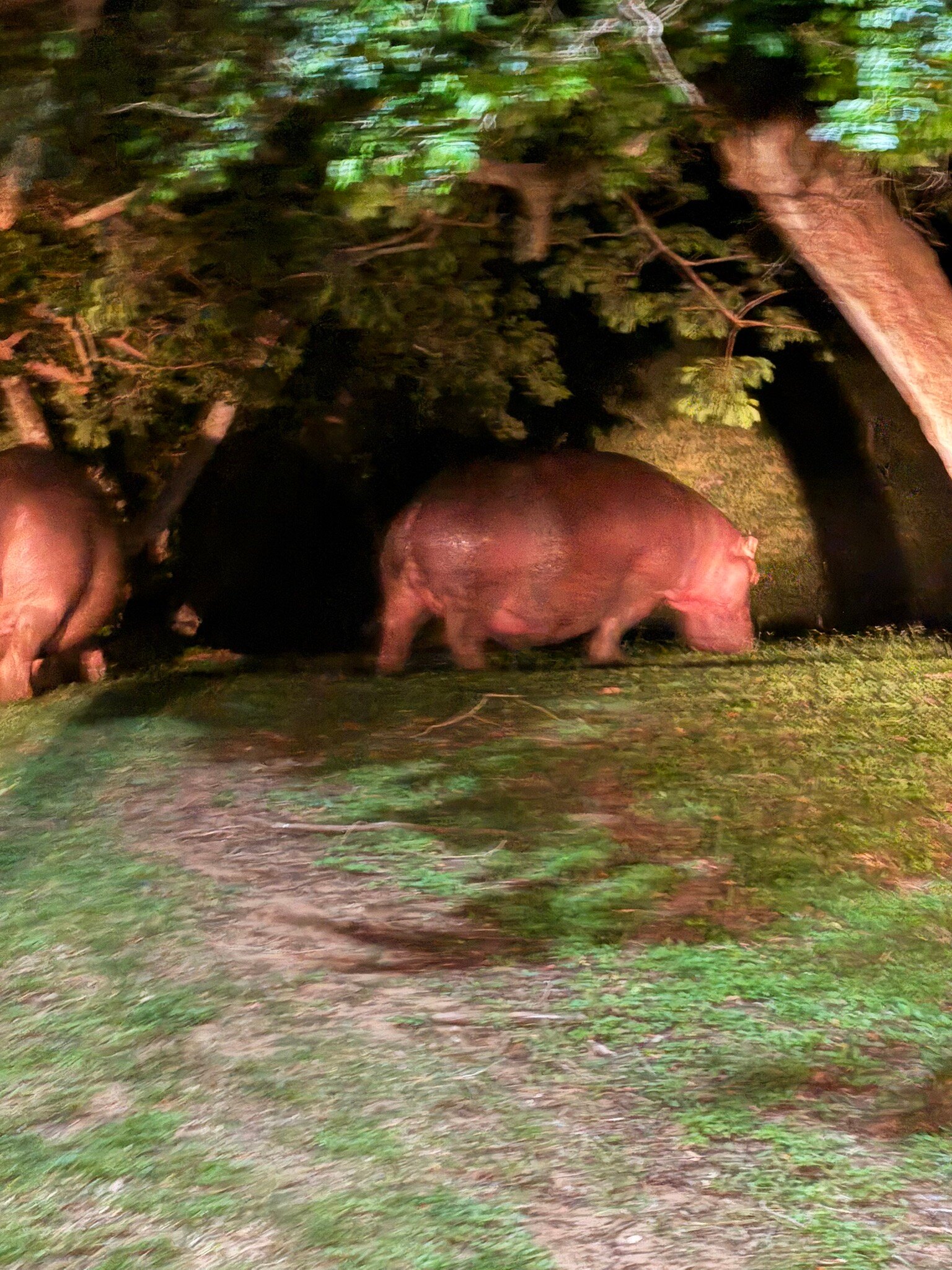 Leopard Corner Lodge-官方