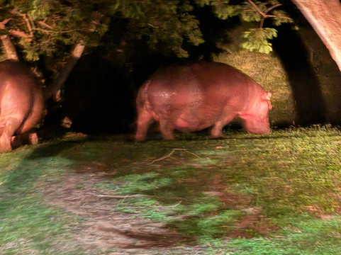 Leopard Corner Lodge主图