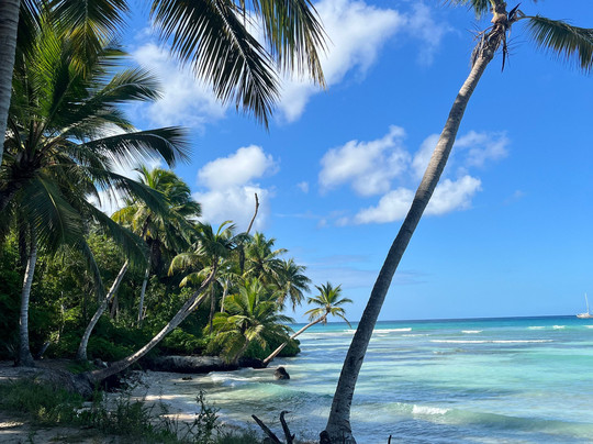 Muy Divertido Excursiones-Dominicus必去景点
