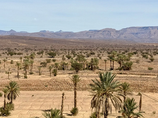 Morocco Easy Tours - Morocco Tours-马拉喀什必去景点