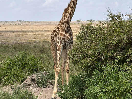 Jaynevy Tours-莫西必去景点