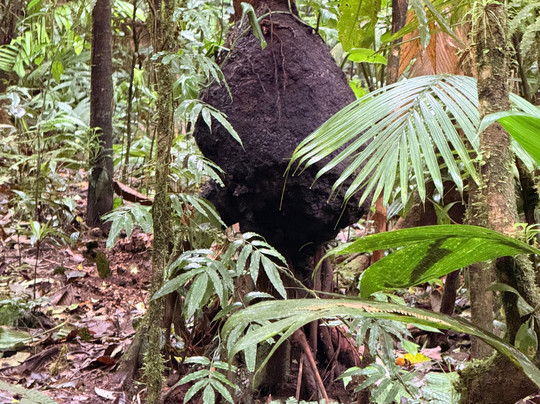 NexusTours-圣何塞必去景点