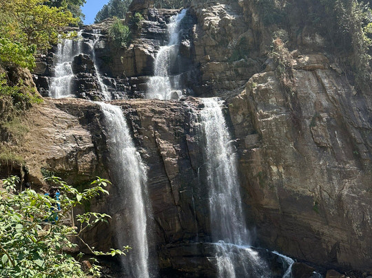 The Lavender House By Reveal主图