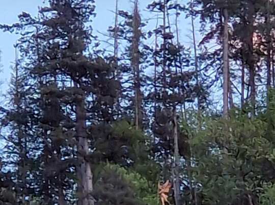 Grotte de Notre Dame du Lac-Duingt必去景点