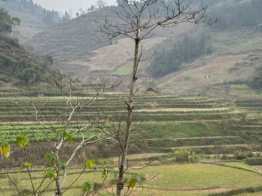Pang Local Guide Bac Ha-Bac Ha必去景点