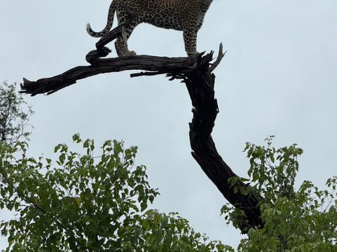 TrueAfrica-阿鲁沙必去景点