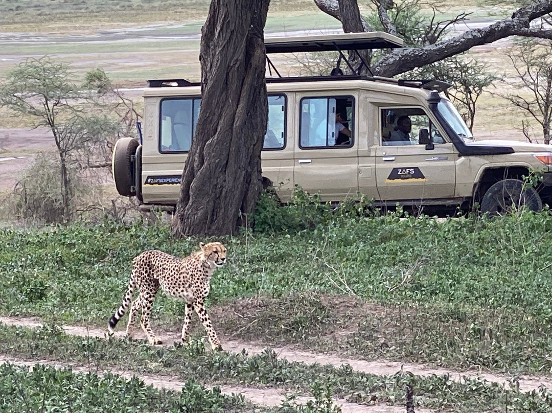 ZAFS Tours-莫西必去景点